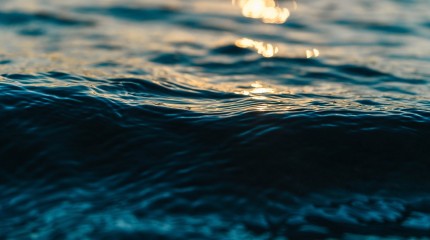 Quoi faire durant une journée en mer lors d’une croisière ?