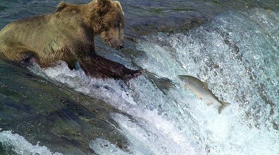 Alaska mon cinquième voyage
