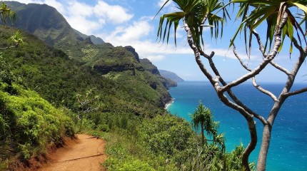 Hawaï - 11 jours