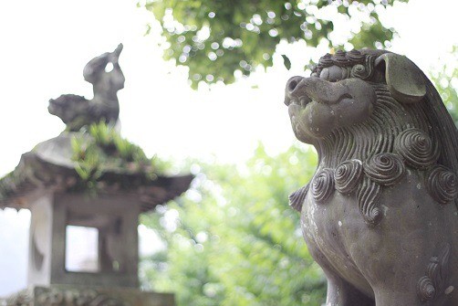 Japon - 11 jours