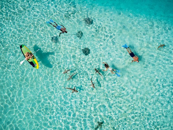 Tahiti  Îles Cook - 12 jours