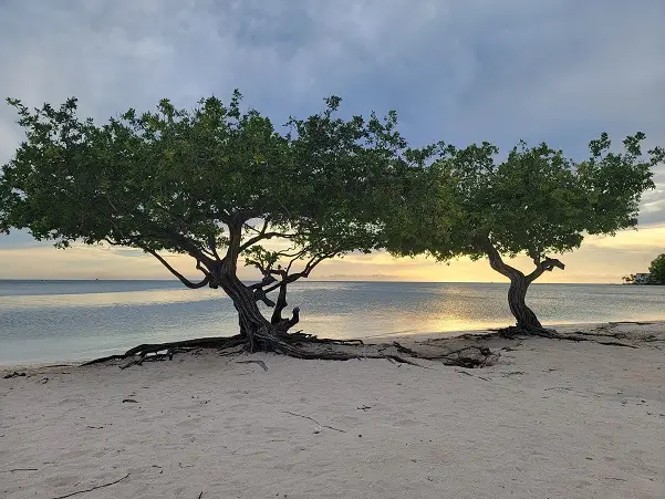 Caraïbes Sud - 10 jours