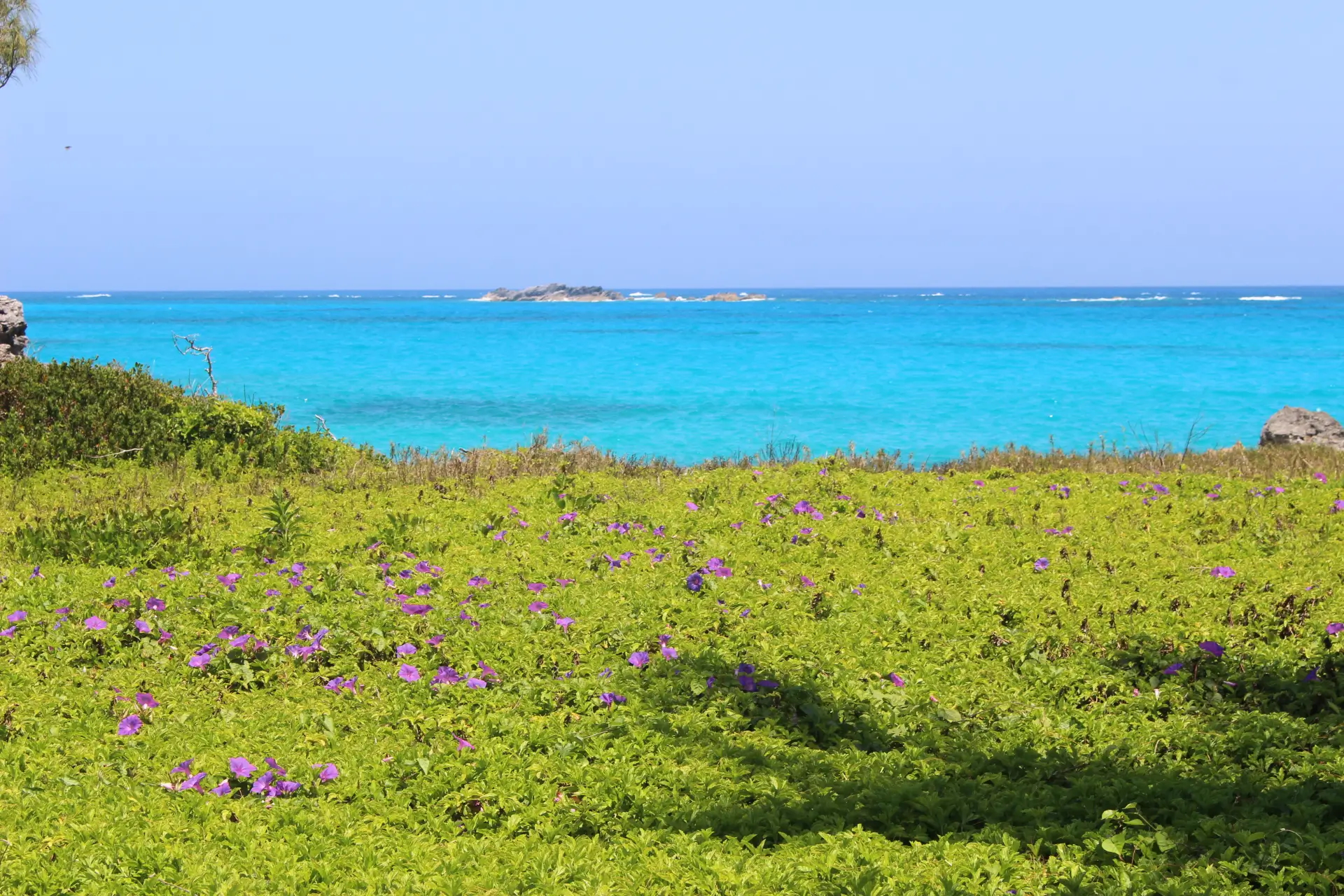 Bermudes - 8 jours